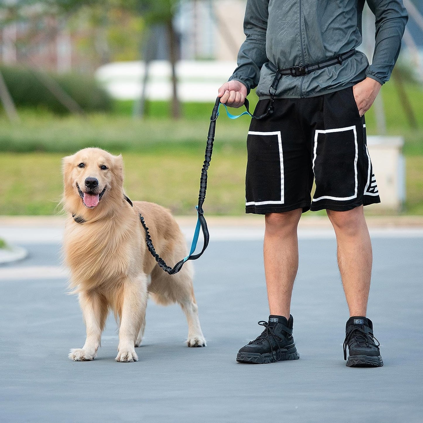 Hands-Free Dog Leash – Adjustable Running Leash with Zipper Pouch & Bungee Shock Absorber