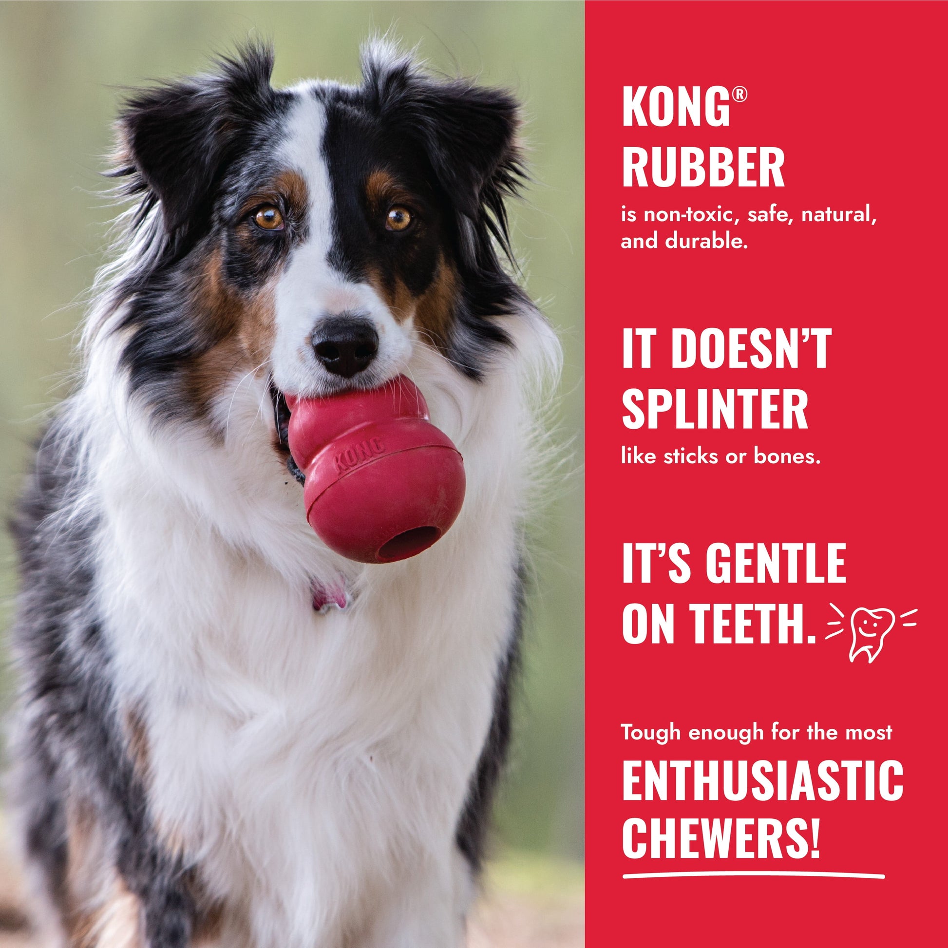 KONG Classic Treat Dispensing Dog Toy