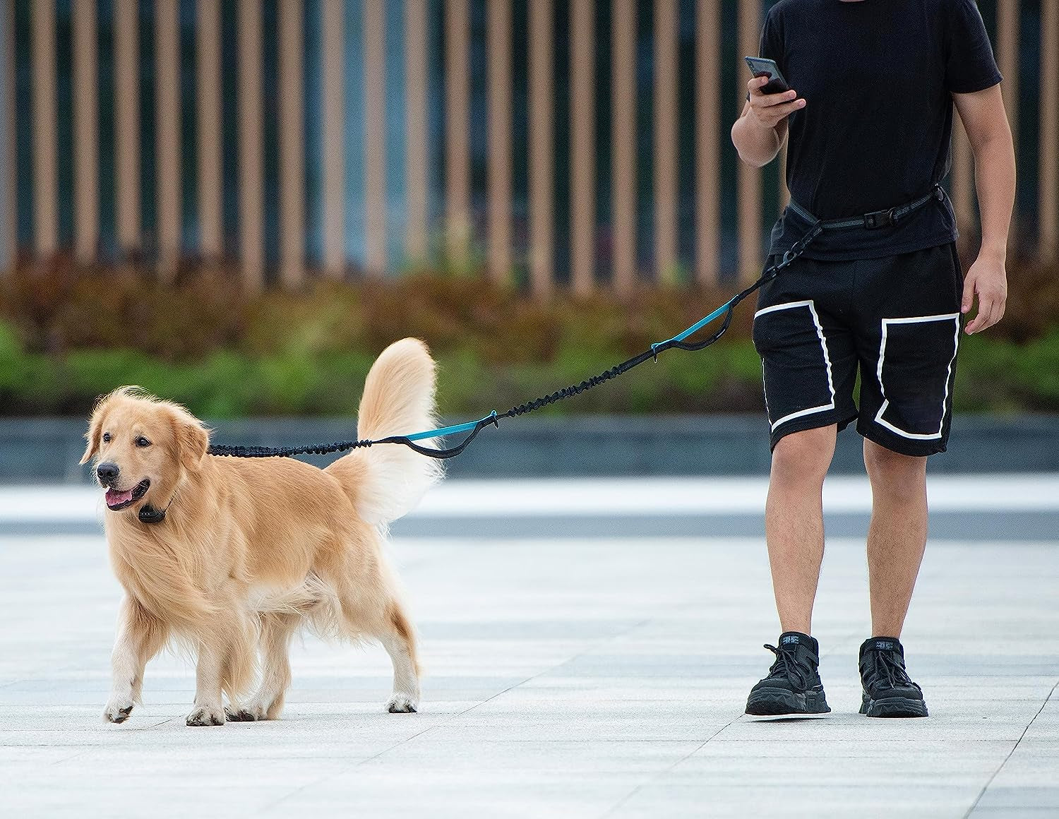 Hands-Free Dog Leash – Adjustable Running Leash with Zipper Pouch & Bungee Shock Absorber